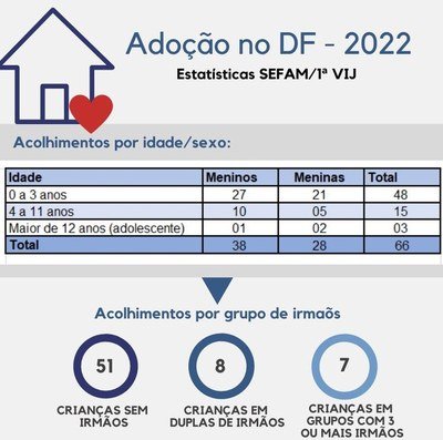 Aumento e mudança no perfil das adoções em 2022 são destacados pela 1ª VIJ-DF